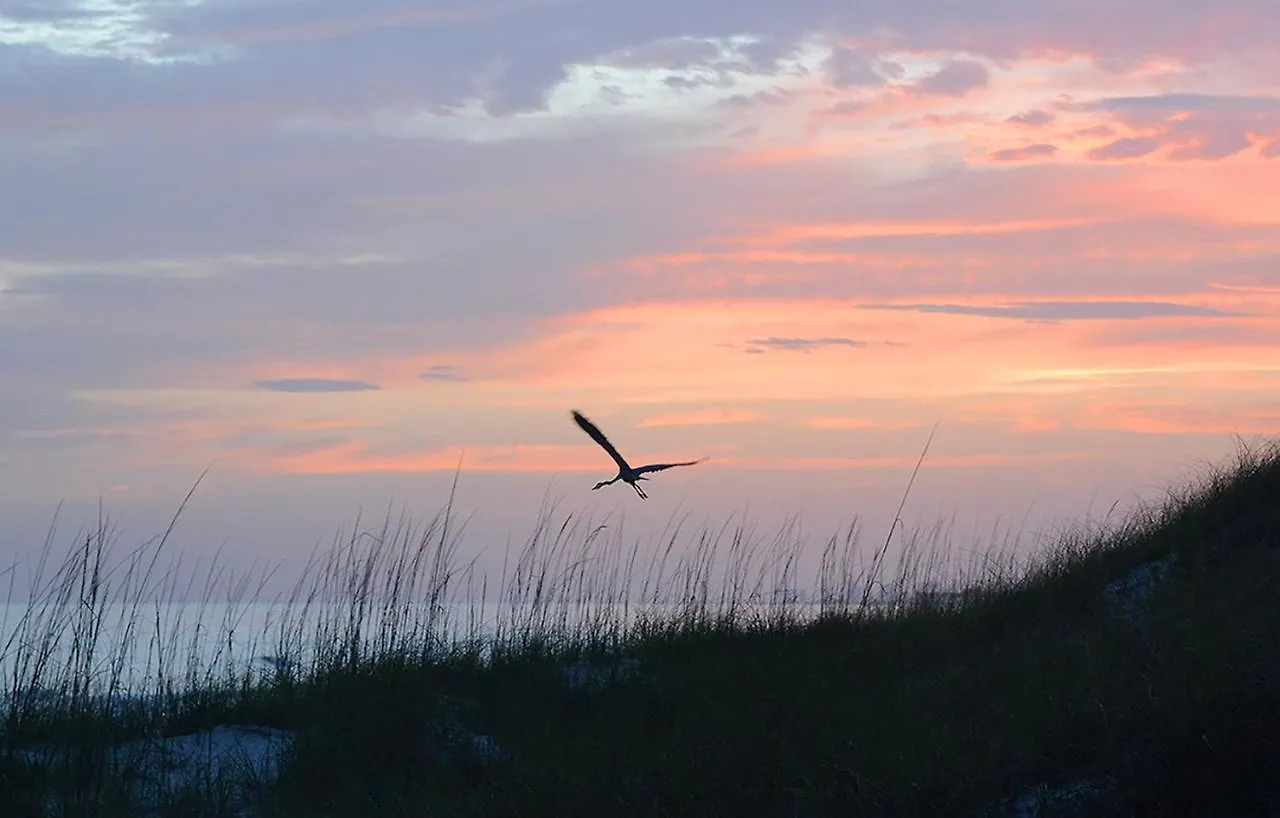 Summit 1231, 1 Bedroom, Sleeps 6, Beachfront, Wi-Fi Panama City Beach